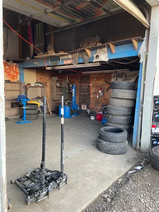 https://cdn.trust-mechanics.com/photos/hVkmTN9F2kLzouqVGlCv/621d41ed-2cf6-4949-ac25-a684d9914c29_720x720