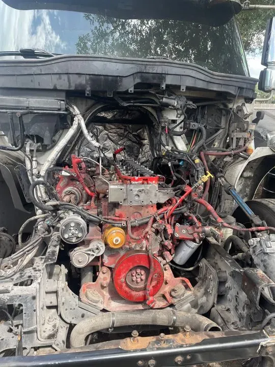 https://cdn.trust-mechanics.com/photos/hzlHdrHUfL4QRksjEps0/a50f7e8d-6dad-44ad-a119-4e8d8971e905_720x720