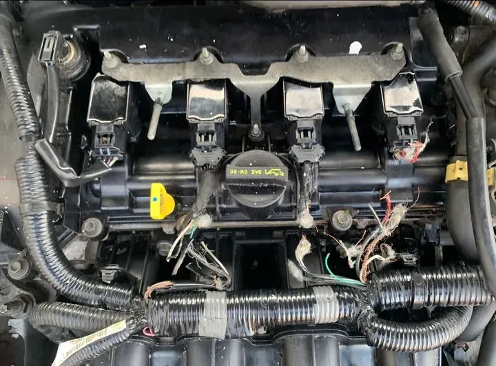 https://cdn.trust-mechanics.com/photos/jEJdo2XDiTHqnELI2CQ3/12733e96-1d6d-48fb-9b16-61ad5eb947c1_720x720