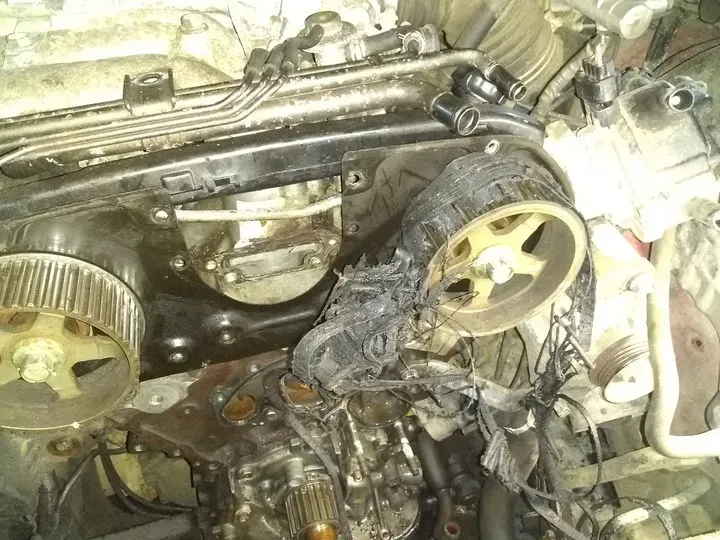 https://cdn.trust-mechanics.com/photos/jbCfYRbuX2H2cDqiJ3AS/59088e9a-b7e0-48d8-9311-d24bdf665afc_720x720
