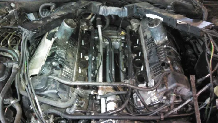 https://cdn.trust-mechanics.com/photos/kSHvZkzkG6j31cKgI9uD/297cc390-a891-42e9-838b-a79b3f2dd869_720x720