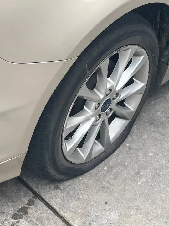 https://cdn.trust-mechanics.com/photos/kiGGmH1VbAKbKk2Voyh6/88dc6810-15d6-4342-b851-13ad4d416184_720x720