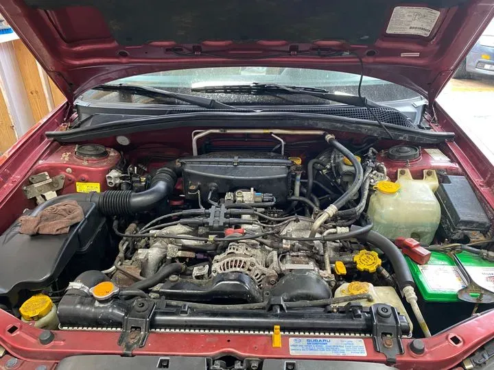 https://cdn.trust-mechanics.com/photos/l2zkE5cMAxouJP76a8yq/1a022ec4-bfe0-4ae0-a027-d0e0533286fc_720x720