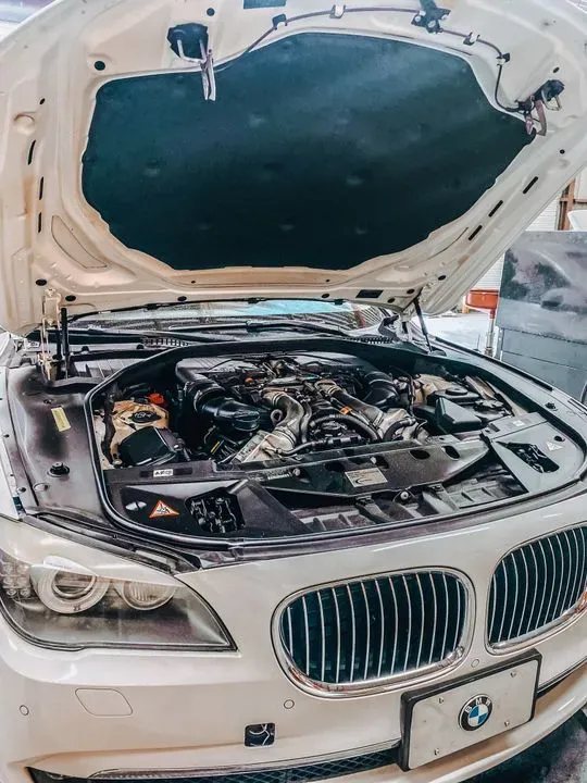 https://cdn.trust-mechanics.com/photos/l4otRrSkC66WqQ63y2B1/521de173-72ab-4029-8fd5-4f77627a1e16_720x720
