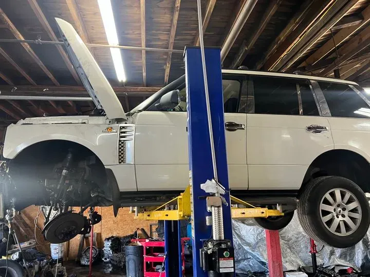 https://cdn.trust-mechanics.com/photos/l7EyVUmmCD9uCRaa6myY/47348561-8df9-4745-974e-5092774fc92b_720x720