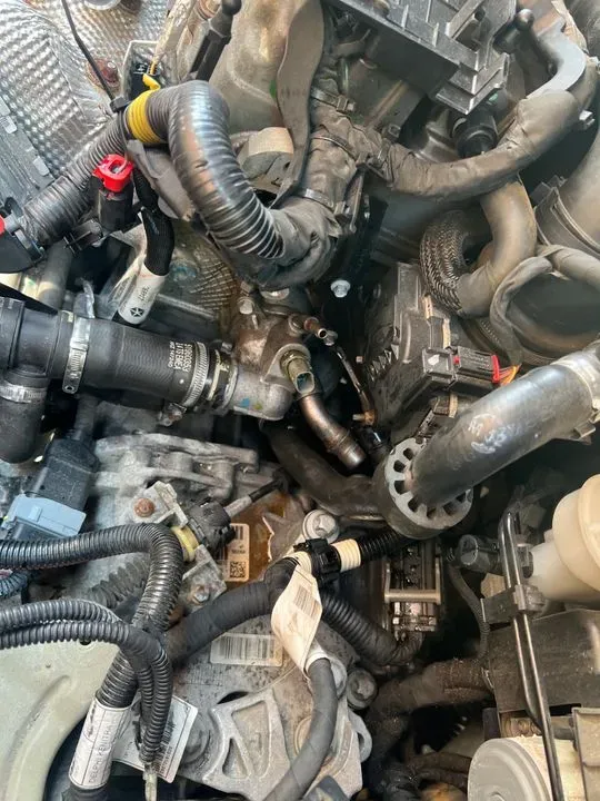 https://cdn.trust-mechanics.com/photos/lmfpIsWy3OQLwjWFmbgK/78cced09-19c4-4938-bf1c-ad4b05adcc8d_720x720