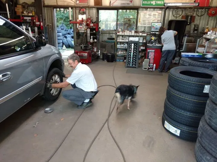 https://cdn.trust-mechanics.com/photos/n8qTkbQc2V0uQZ45KqNh/1e7b9d7f-20f2-43c6-abc0-53d120cab011_720x720