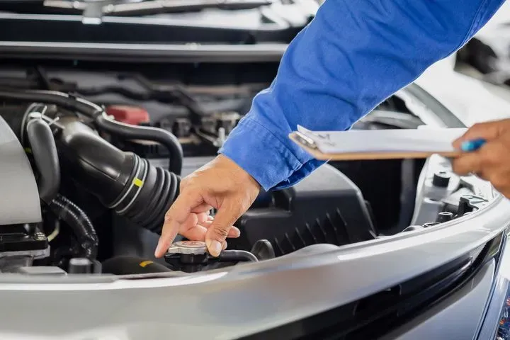 https://cdn.trust-mechanics.com/photos/nDGRBs7h5GJHMePvtpIS/f3ddb319-ea8a-45fb-aa5c-5863948e3f5f_720x720
