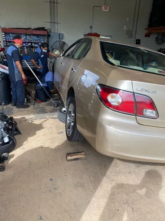 https://cdn.trust-mechanics.com/photos/nYmwe51kaF1o7XbFSy7f/a4831d09-d641-4d9f-bc26-ef78f4b536bd_720x720
