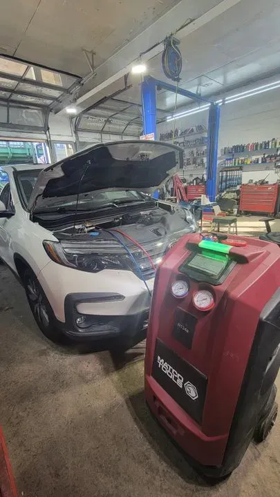 https://cdn.trust-mechanics.com/photos/oSFrtg6FHIsPkjHCkDYG/3d72eb62-de6c-4f84-96b4-e55ea8695d51_720x720