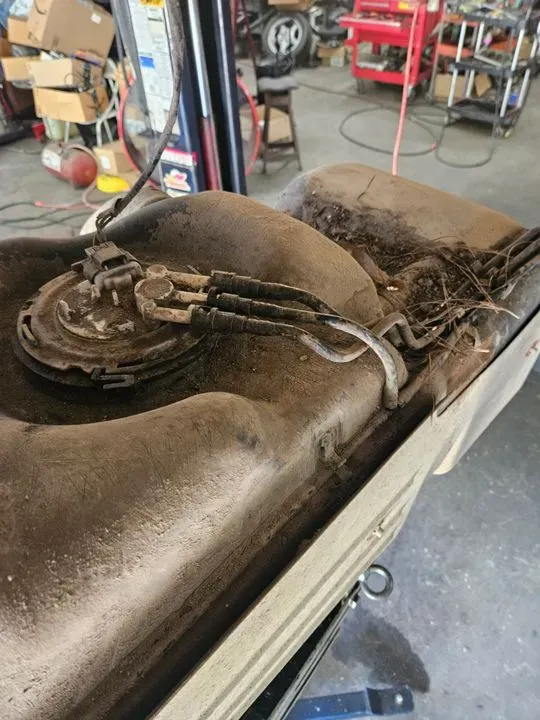 https://cdn.trust-mechanics.com/photos/oub66pwxSG2XqbYO2ZRh/93bc4c4d-ee93-4cfd-bdff-281e78138091_720x720