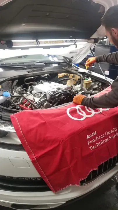 https://cdn.trust-mechanics.com/photos/p0sTjM2orcpqdM8bLsNR/491fe413-b4ab-4e3c-be25-797153e926a4_720x720