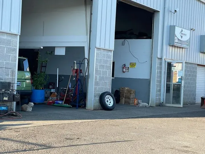 https://cdn.trust-mechanics.com/photos/p3Jcd5QIXgvH8l0lLi7K/77139385-8504-4874-8e6b-f47af47b9422_720x720