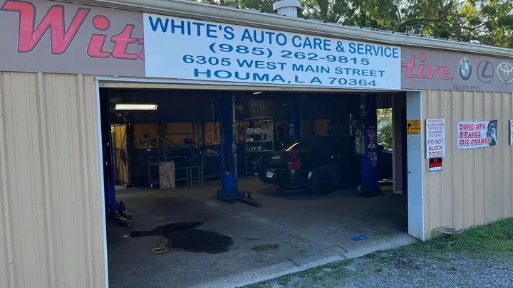 https://cdn.trust-mechanics.com/photos/pcoNKSjM2ni3zQTAA4un/ece30f1f-8f97-4dc9-ab0a-71ff8490e241_720x720