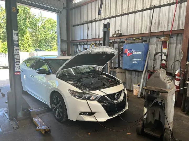 https://cdn.trust-mechanics.com/photos/peHVXx7AUidahXGQGTue/c876b228-a4f7-46e9-9d4c-3962570b9d57_720x720