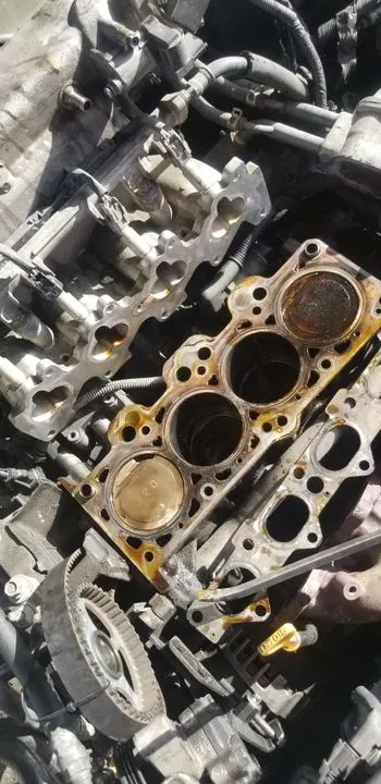 https://cdn.trust-mechanics.com/photos/pfMbkpMbmZsVyQXA9c7l/52601138-05fd-46f4-817c-47324de3f991_720x720