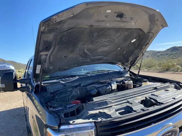 https://cdn.trust-mechanics.com/photos/pi47DowQM6VM8MbsZPw8/eebd011a-4878-4236-919f-f7e8e36f81f6_720x720