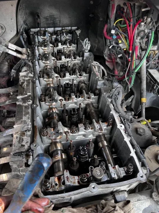 https://cdn.trust-mechanics.com/photos/qruvbi9fKYO1GdkxoNti/067e3e38-9bbd-455a-aee4-5ebd2e53119b_720x720