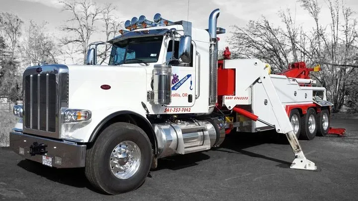 https://cdn.trust-mechanics.com/photos/sCAjFhVi8PZdZn18YqDb/2349c47b-0b70-45f7-89ab-328de231594d_720x720