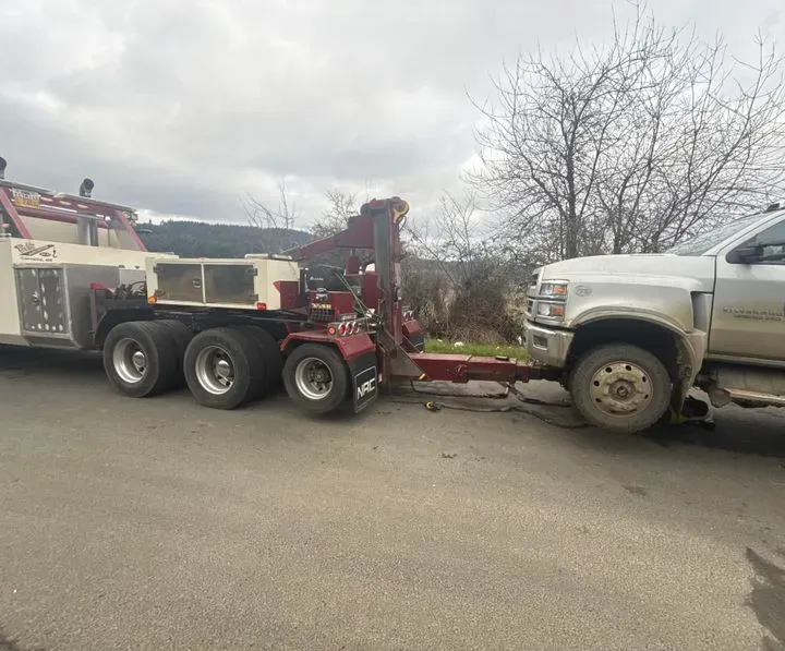 https://cdn.trust-mechanics.com/photos/sCAjFhVi8PZdZn18YqDb/42684ec3-6cb6-4b4e-9cdf-87a0fb8af0b9_720x720