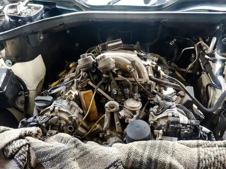 https://cdn.trust-mechanics.com/photos/sNWfCLrX4D4GIQzAj5eW/cc1e668d-0274-446e-b115-3eeaedb8e749_720x720
