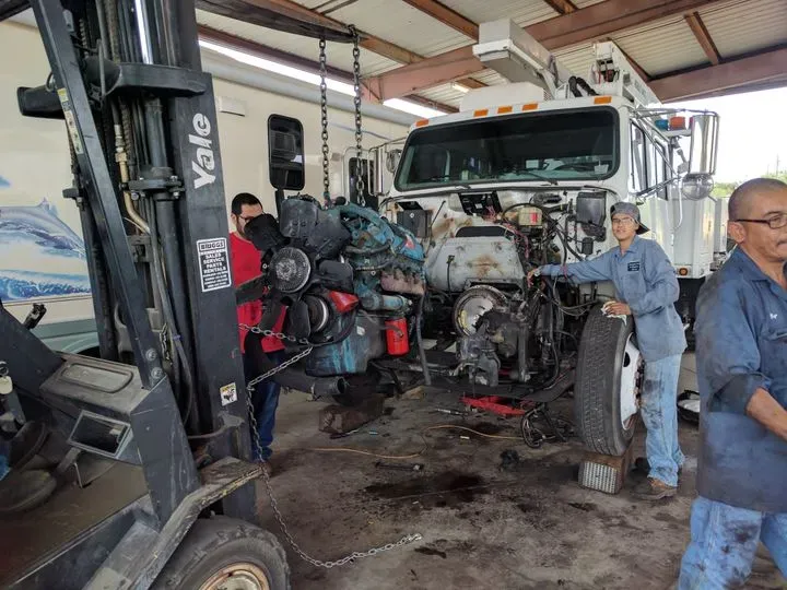 https://cdn.trust-mechanics.com/photos/tm3wW8lHxD3cMry4SdWw/f1e66fd6-7d94-4196-8b5e-8e5ad47794f8_720x720