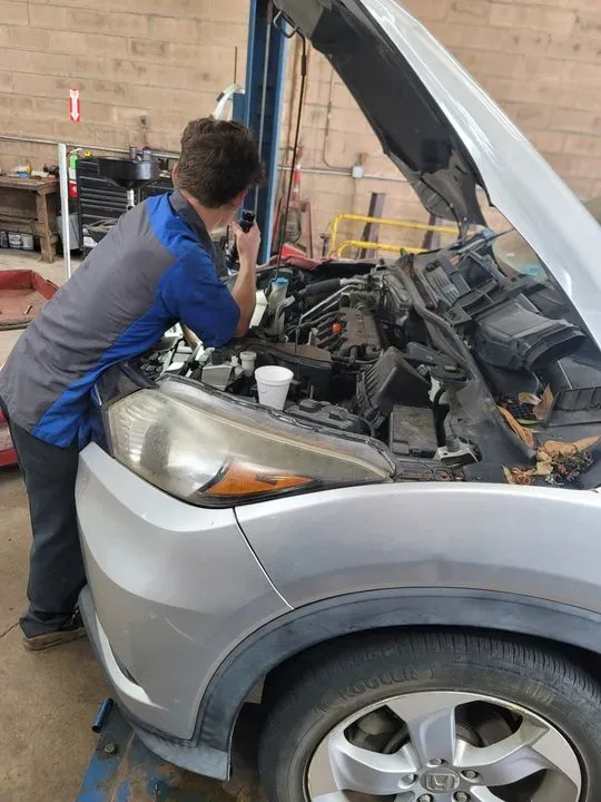 https://cdn.trust-mechanics.com/photos/tqJhVH94iMnuEkn3ceB7/e85a6304-8140-4052-b278-a8bc3242b9fa_720x720