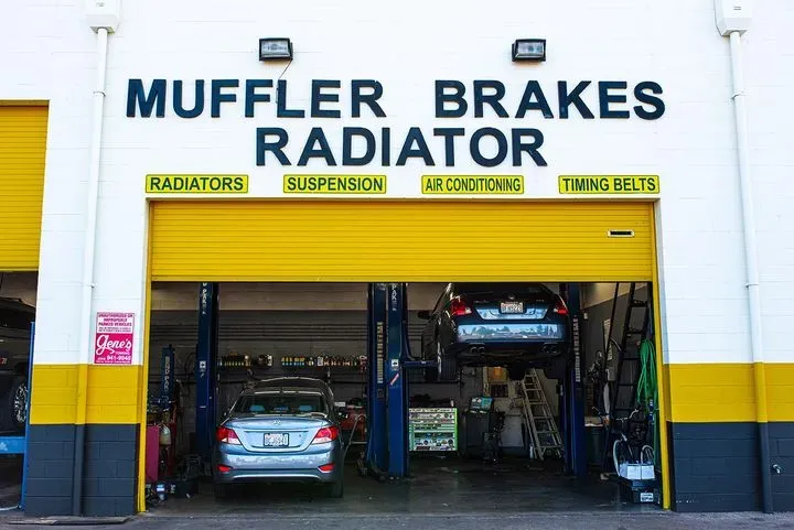 https://cdn.trust-mechanics.com/photos/uoO1jQd9ytlnnxsbU2vS/830c66be-9a46-4d91-b665-d4a56228bc7d_720x720