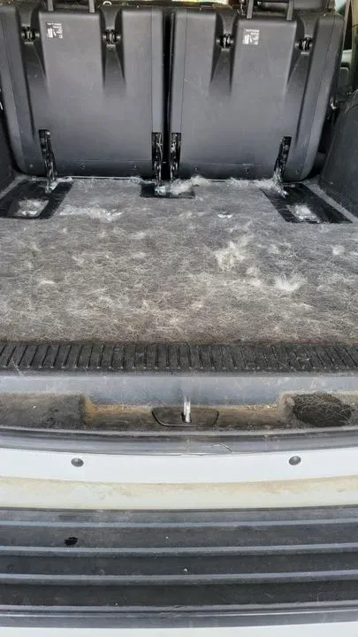https://cdn.trust-mechanics.com/photos/uysCLX5F3m85PLo5vTzM/87ad60ff-1769-41cc-97cc-2abf7ffe7313_720x720