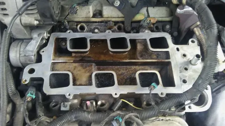 https://cdn.trust-mechanics.com/photos/vl3spgikMTuwkLGWLHwx/54826d1f-8497-4382-89df-410eb867df83_720x720