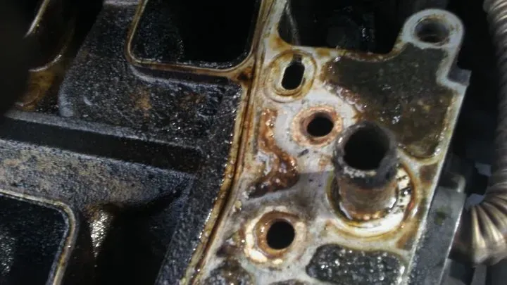https://cdn.trust-mechanics.com/photos/vl3spgikMTuwkLGWLHwx/769e24ae-09f6-4efd-ac57-11c2b1c01bbb_720x720