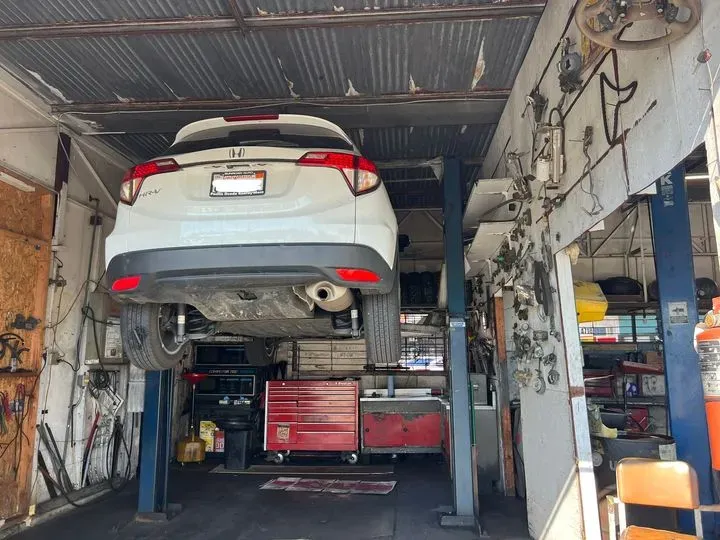 https://cdn.trust-mechanics.com/photos/vs9PtnGnYJTjmkUGl8Je/afbb184a-c907-4a49-a1a2-4d75f00de4c8_720x720
