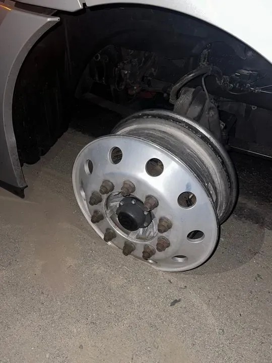 https://cdn.trust-mechanics.com/photos/wjyzVsKpjAcgqT9rgoCA/8697e039-425c-4890-822b-61a9995c08ff_720x720