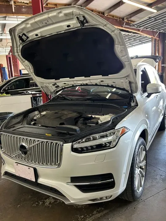https://cdn.trust-mechanics.com/photos/x0Y7heP1RGjDURbnpFKf/3f832521-3493-49f5-92a2-cf85a61b72b8_720x720