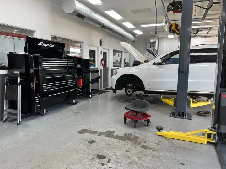 https://cdn.trust-mechanics.com/photos/xeEBnWEzanR3pXa23YYR/b894b98c-7d9f-4481-8dba-3f5f9e58e89f_720x720