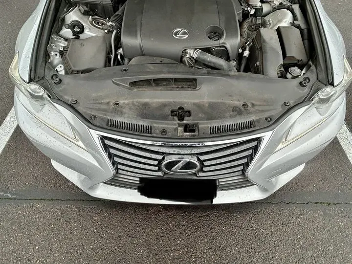https://cdn.trust-mechanics.com/photos/y0feqHg9LUYEOQ9sOWF3/31ff5857-b9ea-48ca-b338-bf359a2faa24_720x720