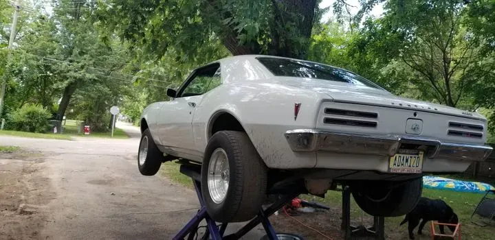 https://cdn.trust-mechanics.com/photos/ysAPY7npMofWB9XXm85a/3eed210e-d670-413a-a428-9b6b303ea57b_720x720