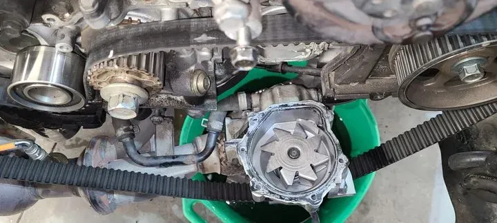 https://cdn.trust-mechanics.com/photos/yta2UASYkQqTgMR93UHC/8a2ed2d5-3290-4acf-b603-65d8c91e287c_720x720