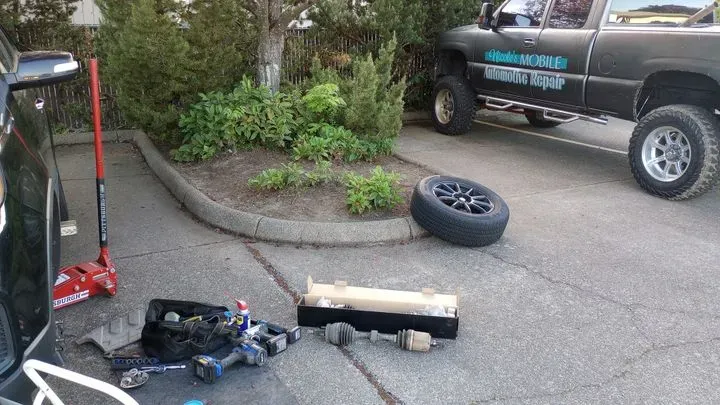 https://cdn.trust-mechanics.com/photos/zQd7BdIrPQfAUcNxMujq/561a07e6-b311-4428-a9b0-643785153f29_720x720