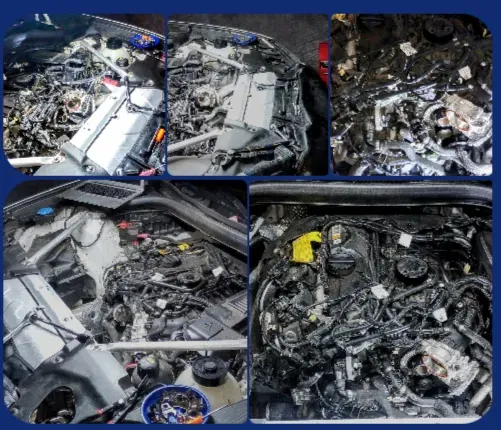 https://cdn.trust-mechanics.com/photos/zQd7BdIrPQfAUcNxMujq/906f7da1-af65-4600-bd39-a36fac38fca7_720x720